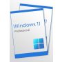 Windows 11 Professional (2 keys)