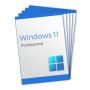 Windows 11 Professional (5 Keys)